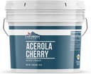 地球の要素 Acerola のチェリーの粉 1 ガロン、純粋及びUndiluted の注入口無し