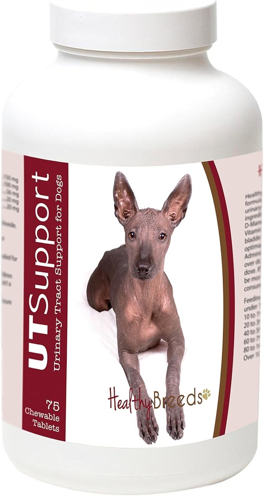 健康な繁殖XoloitzcuintliクランベリーChewables - UTサポート - 有害な細菌の戦いを助け、あなたの犬の膀胱に感染を防ぐ効果的な - 75カウント