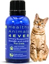 HA4E - 猫UTI救済 - 猫のための自然腎臓サポート - 膀胱と尿の健康をサポート - 腎浄化 - 非GMO、有機、化学 - 300 タブレット