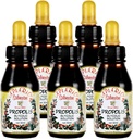 Official Distributor - 5 Bottles of Apiario Silvestre Brazilian Green Bee Propolis Liquid Glycolic Extract-Non Alcoholic, Wax Free, Sugar Free (PG)