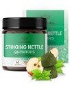 HERBAMAMA Stinginging Nettle Gummies - 女性と男性のための尿路支援のためのイラクサの根本抽出物7500mg - 完全菜食主義者の非GMOのウリカのサプリメント - 60ペクチンベースのApple風味の咀嚼