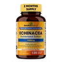 SANDHUHERBALS Sandhuの草のEchinaceaのGoldenseal 1000 Mg 120のカプセル 免疫システム サポート呼吸器応答の補足