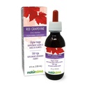 ナチュラルマレッドグレープバイン(Vitis vinifera)リーフアルコールフリーのチンキ - 4 fl oz 液体エキス - ハーブサプリメント - ビーガン