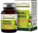 Banyan Botanicals Yogaraj Guggulu – オーガニックジョイントサポートサプリメント--SkeletalとNeuromuscular Systemsをサポートするためのアーユルヴェーダブレンド* – 90錠 – 非GMO, 持続的に供給, ビーガン