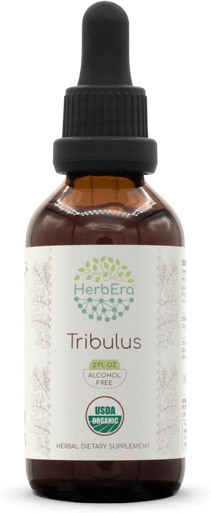 HerbEra Tribulus B60アルコールフリーハーブエキスのチンキ、濃縮された液体ドロップナチュラルUSDAオーガニックトリブラス(Tribulus Terrestris)ドライフルーツ(2 fl oz)