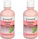 MAJOR Calamineのローション-カルアミン Topicalの懸濁液USPの皮のprotectant - 6 Fl Oz (177のmL) (2のパック)