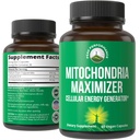CoQ10および活動的なPQQのMitochondria Maximizer。MCTオイルが付いている最もよいMitochondrialサポート補足。きれい、集中されたエネルギー60のベジタリアンのカプセルのための自然な細胞の発電機