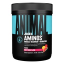 アニマル ジュース アミノ 酸 - BCAA パウダー EAA マトリックス プラス 電解液と海の塩 いつでも回復と改善された性能、フルーツ パンチ フレーバー、30 サービング