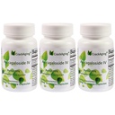 割れる超吸収のAstragaloside IV 98%の大人の免疫サポート50mg/Cap 90は3本の袋に入れます