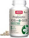 JarrowフォーミュラプレバイオティクスXOS + GOS - 繊維のコンプレックスサプリメント - 90 Chewable錠 - Enriches&Nourishes Gut Microbiome - Beneficial Bacteria - 30の摂食の成長をサポート