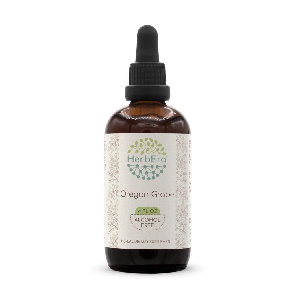 HerbEra Oregon Grape B120 アルコールフリーハーブエキス チンキ、超濃縮レゾン グレープ(マハニア spp.) (4 fl oz)