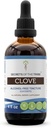 Tribe Clove Tinctureアルコールフリー液体エキス、Clove(Syzygium Aromaticum)ドライフラワーバッド(FL OZ)の秘密