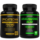 サービング(120カプセル)およびArachidonicの酸の補足1500mg (150のカプセル)ごとのDORADO NUTRITION Epicatechinのエキス750mg