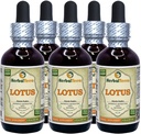 ロータス、Xin(Nelumbo Nucifera)乾燥ステム液エキス(ブランド名:HerbalTerra、米国製)5x2 oz