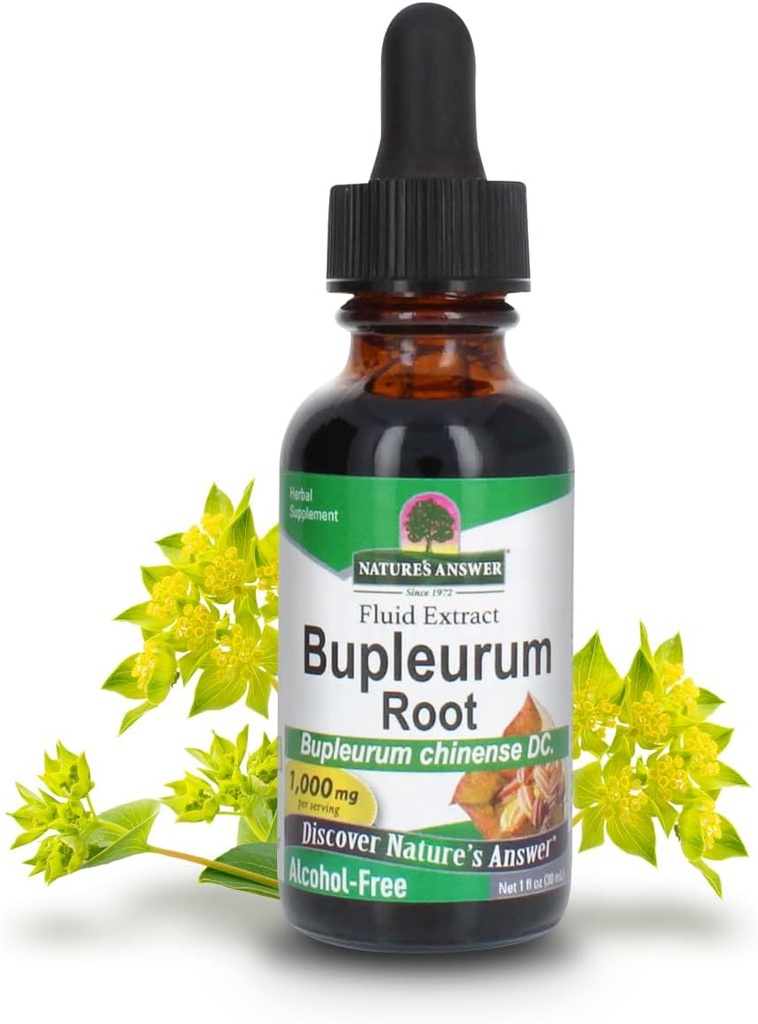 Nature's Answer Bupleurum Root Bupleurum Chinense - 自然な草の補足 - レバーの免除のための理想 - 1000mg (1FL Oz)
