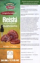 Reishi のきのこの補足/私達の Reishi のきのこのエキスは Longevity/Reishi のきのこのチンキを- 50ml/1.7 Fl Oz 促進します