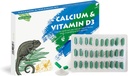 Calcium Reptile Supplement with Added Vitamin D3，Ideal for Bearded Dragons, Turtles & More