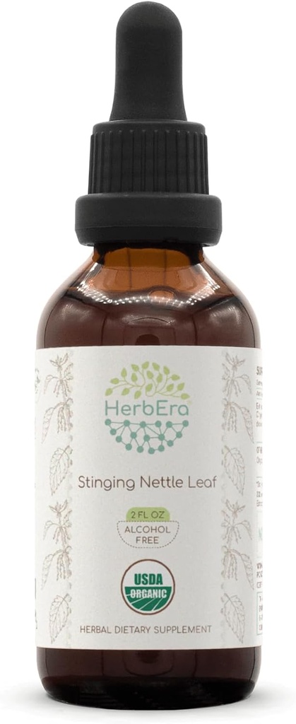 HerbEra Stinginging Nettle Leaf B60 USDA Organic Tincture | アルコールフリーエキス、高効力ハーブドロップ | 認定オーガニックストッキング イラクサ 乾燥葉(2oz)