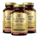 ソルガーL-リジン500mg - 100野菜カプセル、パック3 - 皮膚&ティッシュサポート - 非GMO、ビーガン、コーシャ、グルテンフリー - 300トータルサービング