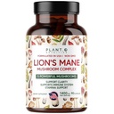 Plant.O Premium Lion's Mane Supplement, All Natural Nootropics Brain Supplement, 5 きのこコンプレックス – ライオンズ・マネ, レイシ, チャガ, Maitake, 免疫のための椎茸, フォーカス, 気分と記憶ブースト, 90 キャップ