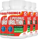 1660MG Urolithin A サプリメント - Liposomal Urolithin 240 カプセル