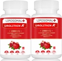 エネルギー120のカプセルのためのLiposomal Urolithin Aの補足2000MG