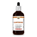 Hawthorn エキス、心の健康のためのチンキ、サポート 循環、Lipid バランス、酸化防止の豊富な、Boosts の免除の強さ- 4 の fl.oz を促進します