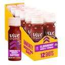 Vive Organic Immune Support Elderberry Shot, Cold-Pressed Turmeric & Ginger, Gluten Free, ヴィーガン, 免疫ブースト Elderberry, 2 Fl Oz (パッケージ 12)