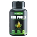 パインのPollenの補足のwtihのジンジャーの根およびビタミンC、99%は細胞壁、120のベジギーのカプセル、女性および人のためのFocus&Immuneの改良を裂きました