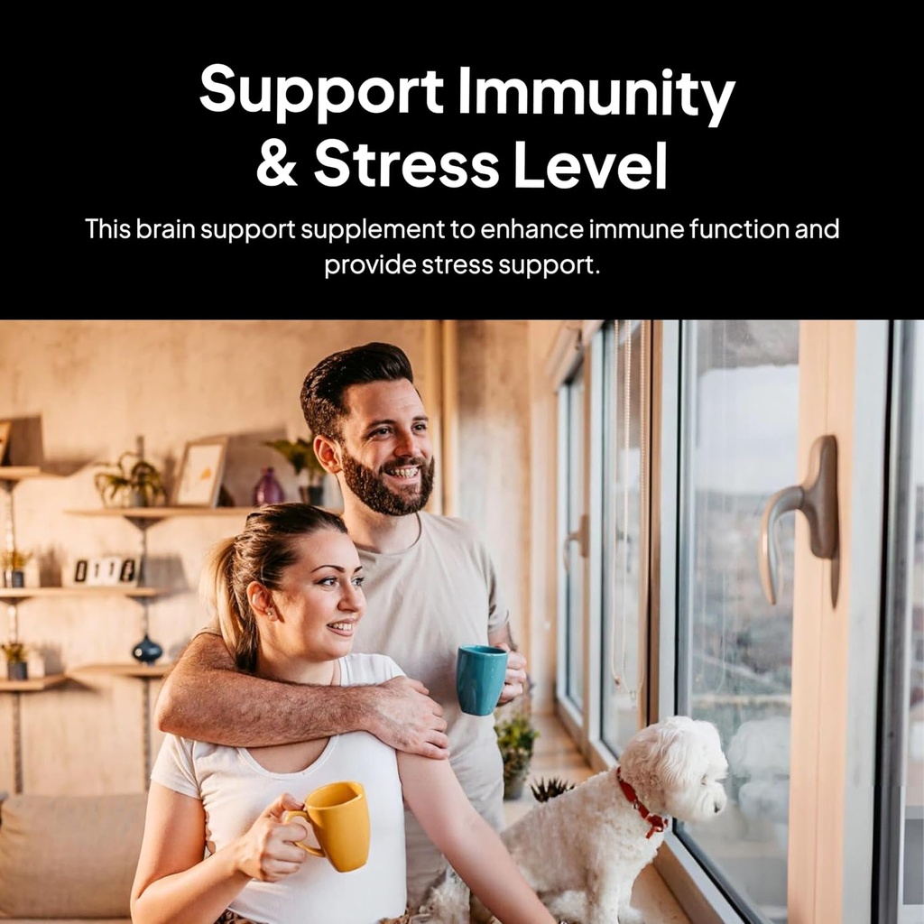 医師 Morseの脳と神経系のサポート - サポート免疫とストレスレベル - Naturopathフォーミュレート向知性サプリメント - Ginkgoリーフ、Gotu Kola、Astragalus Root & Butchers Broom - 90カプセル