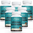 2400のMGのLiposomalのグルタチオンのSoftgels、最高の吸収、活動的な形態のL-グルタチオンによって減られる(GSH)、Hyaluronic酸、Resveratrol、Detox、頭脳、免疫システム、360のSoftgelsのためのマスターの酸化剤