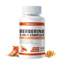 ElevateLife Berberineの補足 - サービングごとのBerberine 1500mg、120のカプセル- Berberine HCI - Berberineのプラス-プラスの純粋な真のCeylonのシナモン、Berberine HCIの根は丸薬を補います