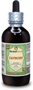 Catechu(Acacia Catechu)グリセライト、乾燥ハーブアルコールフリー液体エキス(ブランド名:HerbalTerra、米国製)4 fl.oz(120 ml)