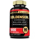 Echinacea、Mulleinの葉、Plantain及び多くが付いているGoldensealの根のカプセル- 90 Veggieのカプセル- 7in1サポート免疫システム、消化器の健康、滑らかな呼吸およびボディ管理