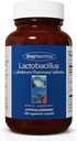 アレルギー研究グループLactobacillusサプリメント - 男性と女性のためのプロバイオティクス、消化の健康、腸の健康、ベジタリアンカプセル - 100カウント