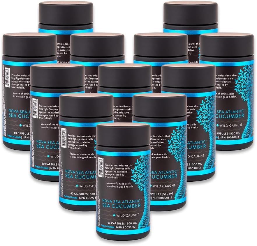 海のキュウリの補足、Fucosylated Chondroitinのビタミンの鉱物が付いている野生のキャッチ海のキュウリのカプセル — 高齢者の大人の子供のための自然な酸化防止の補足(12のパック)