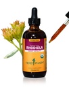 Herb Pharmはエネルギー、持久力およびスタミナ、アルコール・フリーのグリセライト、4つのOunceのための有機Rhodiolaの根のエキスを証明しました