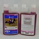SU-PER B-12エネルギー馬の補足-EquineのビタミンB-12及びB-9の葉酸サポート液体-ピーク性能のための赤い血球の生産及びスタミナ サポート-クォート、2のパック