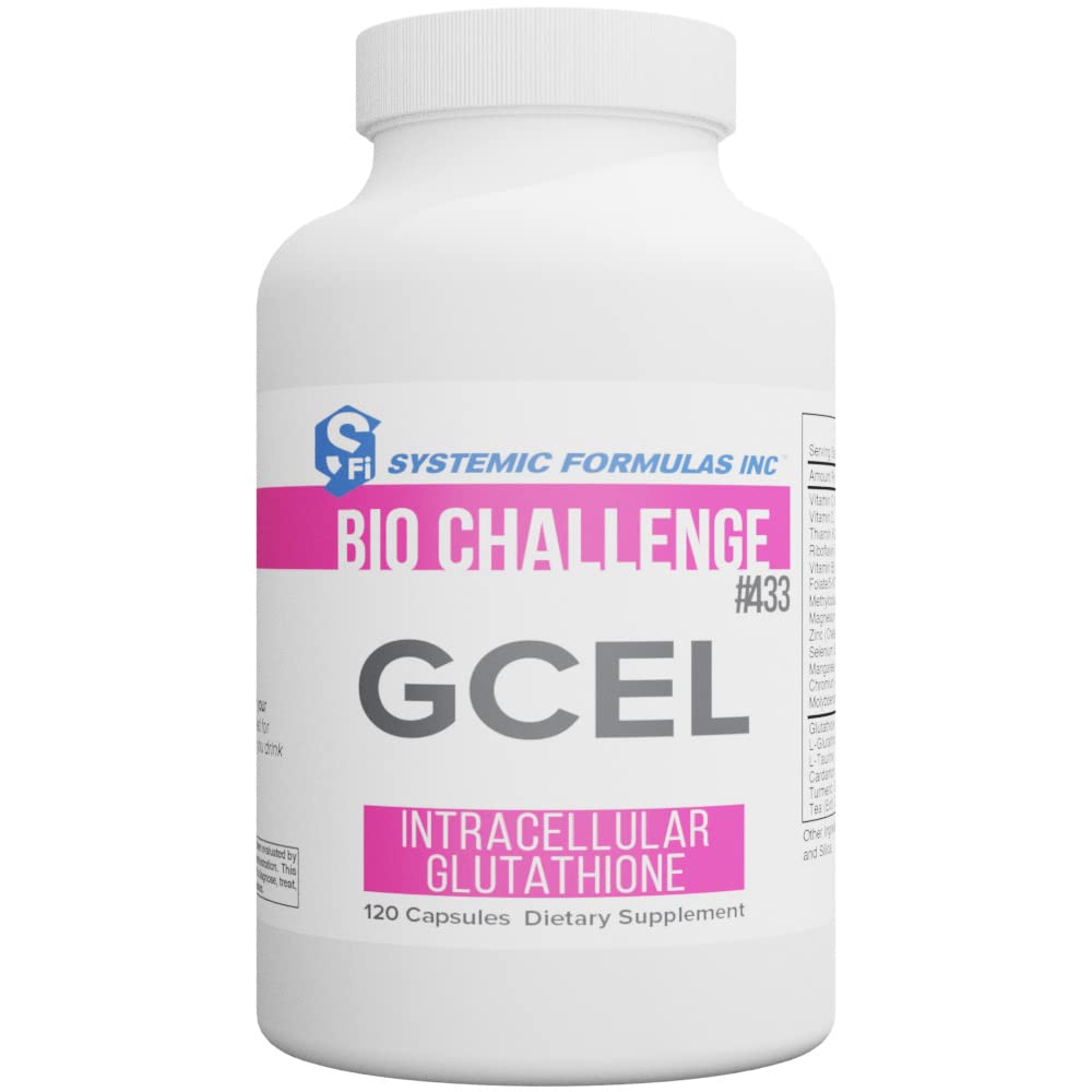 系統式: #433- GCEL