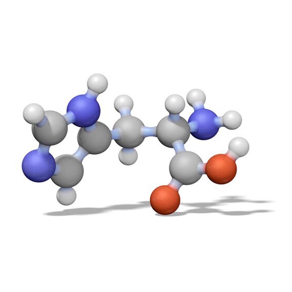 545060-25GM Calbiochemのピリドキサル、塩酸塩、25 g