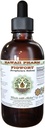 Figwort Alcohol-Free Liquid Extract, Organic Figwort (Scrophulara Nodosa) Dried Herb Glycerite Hawaii Pharm Natural Herbal Supplement 2 oz