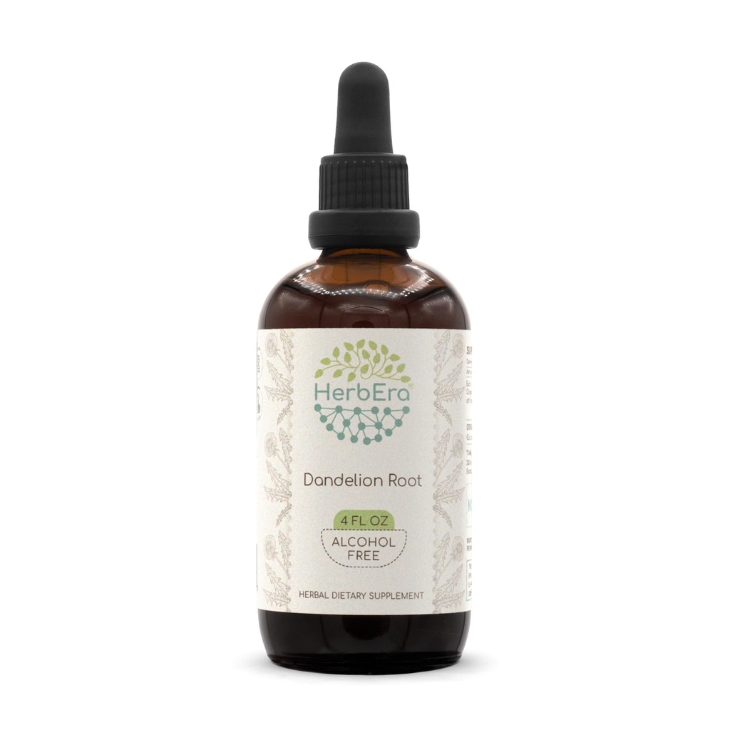 HerbEra Dandelion Root B120 アルコールフリーハーブエキス チンキ、超濃縮タンポ(Taraxacum Officinale) 乾燥ルート (4 fl oz)