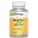 500mgビタミンC、200mgバイオフラボノイド濃度200mg、免疫システム防衛ビタミン、特許取得24時間免疫ブースターサポートサプリメント、ビーガン、120カプセル、120サービング。