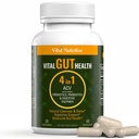 Vital Gut Health 4in1フォーミュラとApple Cider Vinegar, Prebiotics & Probiotics, 強力な免疫サポートと完全なガットと消化のサポート