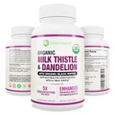 最大吸着 USDA 有機ミルク アザミ ポテト 5:1 濃縮エキス (2000mg 強度) & 有機タンポ ルート | シリマリン 抗酸化フラボノイド | 肝臓サポート サプリメント (60 カウント 1))