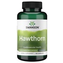 Swanson Hawthorn Extract(標準化)250ミリグラム120カプセル