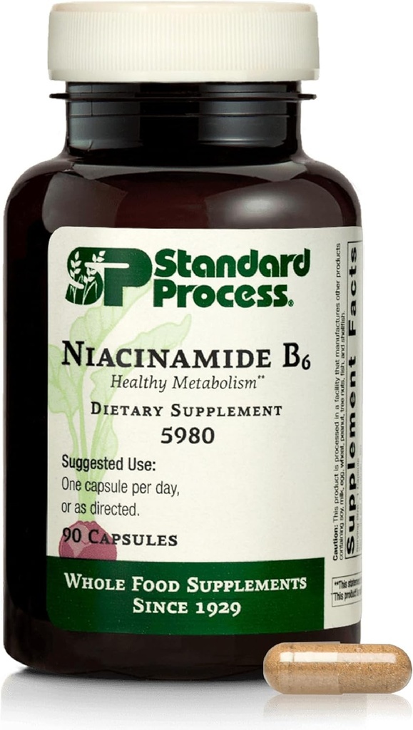 Standard Process Niacinamide B6 - Supports Energy Metabolism & Nervous System Health - Aids Blood Flow & Digestive Health with Niacin & Vitamin B6 - Non-Dairy - 90 Capsules