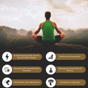 シラジット 純粋なヒマラヤの有機樹脂ゲル — エネルギー ブースト, 消化の健康 & 免疫サポート — 微量ミネラル 天然黒シラジット 男性と女性のための — フルヴィクト酸、鉄、マグネシウム(60グラム)で豊富