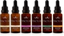 植物療法の有機性チンキ剤の初心者セット30 mLの有機性アシュワガンダ、アジアのジンセン、Echinaceaのブレンド、エルダーベリー、レモン バルム及びターメリックの各