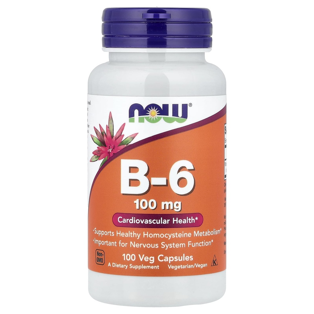 今食糧B-6 100mg 100のカプセル